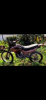 Racer Panther, 2023 г.