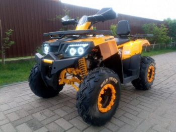 Motoland Wild Track 200 NEW, 2026 г.