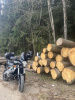 Kawasaki Versys KLE 650, 2008 г.