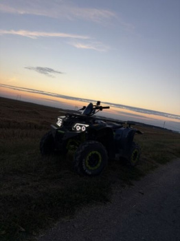 Motoland 200 Wild Track, 2024 г.