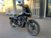 Harley-Davidson Sportster 1200, 2019 г.