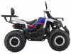 AVM Thunder 200, 2025 г.