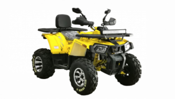 Motoland Wild Track X PRO, 2025 г.