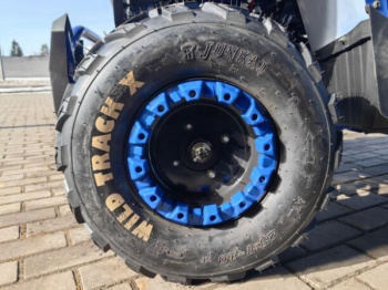 Motoland Wild Track 200 X WINCH, 2025 г.