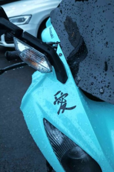 Kawasaki ZX ZX-10R, 2010 г.