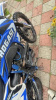 Progasi SUPER MAX 250, 2025 г.