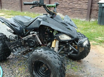 KXD Cobra, 2010 г.