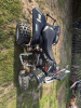 Suzuki QuadSport, 2008 г.