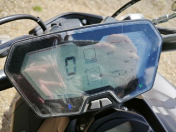 Regulmoto Alien Monster 300, 2025 г.