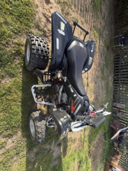 Suzuki QuadSport, 2008 г.