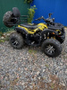 Storm 200 Wild Track Lux, 2025 г.
