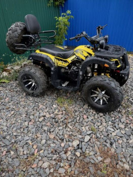 Storm 200 Wild Track Lux, 2025 г.