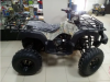 Motoland 200 All Road, 2025 г.