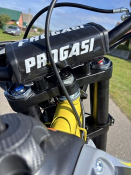 Progasi PALMA 300 PRO, 2026 г.