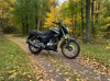 Stels RK125, 2026 г.