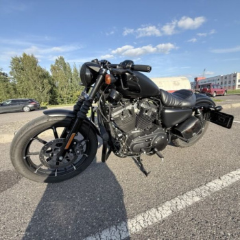 Harley-Davidson Sportster 883 iron, 2022 г.