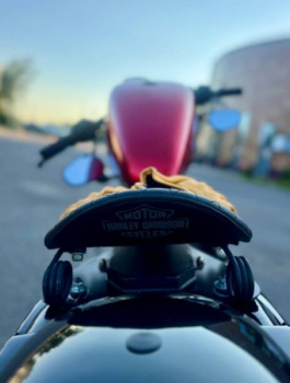 Harley-Davidson Sportster XL 1200 R, 2005 г.