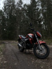 Racer Fighter, 2014 г.