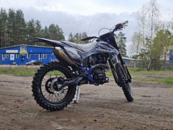 Progasi PALMA 300 RR, 2026 г.