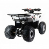 Motoland Rider Storm 125cc, 2023 г.