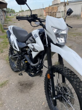 ЗиД YX, 2019 г.