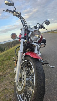 Yamaha XVS Custom, 2005 г.