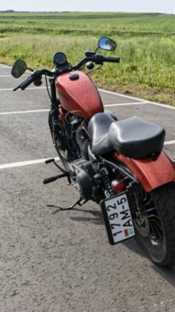 Harley-Davidson Sportster Iron, 2013 г.