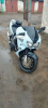 Honda CBR, 1996 г.