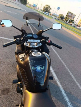 Yamaha FZ fazer s2, 2010 г.