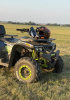 Motoland 200 Wild Track, 2024 г.