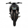 Regulmoto Alien Monster 300, 2026 г.