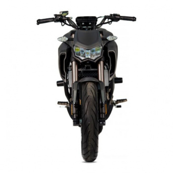 Regulmoto Alien Monster 300, 2026 г.