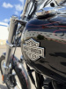 Harley-Davidson Softail fxcwc Roker c, 2008 г.