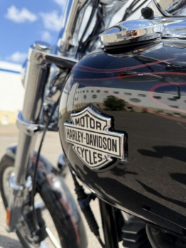 Harley-Davidson Softail fxcwc Roker c, 2008 г.