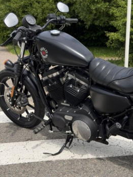 Harley-Davidson Sportster, 2019 г.