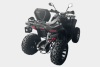 Эксклюзив Редкая модель RAM ATV FX250, 2025 г.