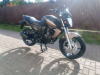Motoland Bandit 300, 2026 г.