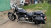 Triumph America, 2008 г.