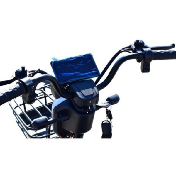 BMW GG Электротрицикл Terax APKI (SVITYAZ NS003, 2025 г.