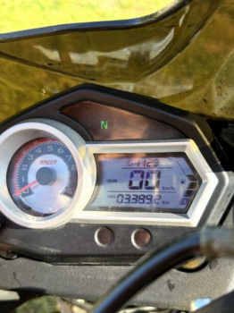 Racer Ranger, 2024 г.