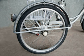Эксклюзив Редкая модель Trike, 2023 г.