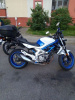 Suzuki SFV Стрит, 2009 г.