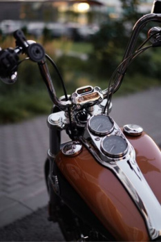 Harley-Davidson Dyna Low Rider, 2008 г.