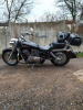 Honda VT 750 C8, 2008 г.