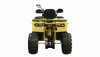 Motoland Wild Track X PRO, 2025 г.