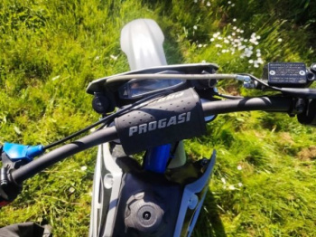 Progasi PALMA 300, 2025 г.