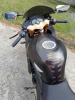 Falcon Speedfire 250, 2024 г.