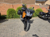 Kawasaki KLV, 2005 г.