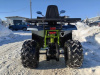 Motoland Wild Track 200 LUX, 2026 г.