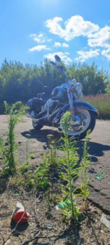 Harley-Davidson Softail Heritage Classic, 2006 г.
